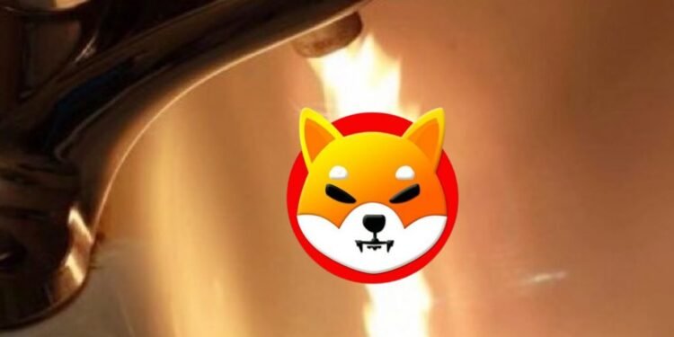 3 Shocking Facts About Shiba Inu (SHIB) Reaching $1