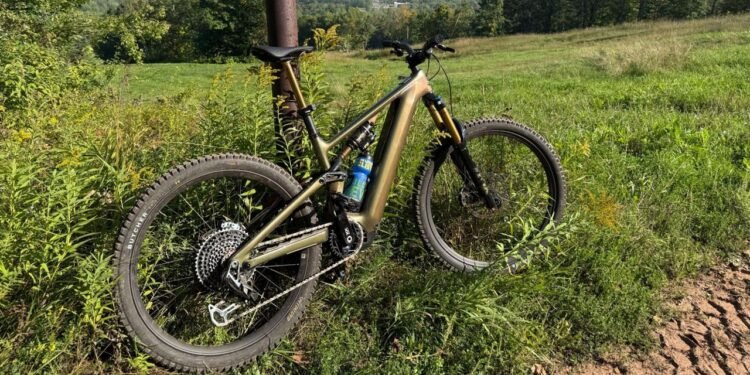 Best Electric Mountain Bikes (2026): Specialized, Cannondale, Salsa