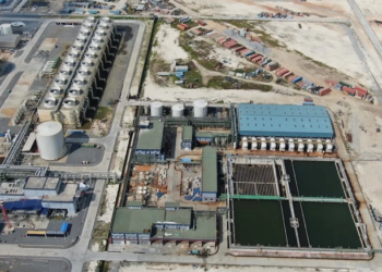 Billionaire, Dangote strikes $4.2B deal with Chinese firm to power East Africa’s largest fertilizer complex