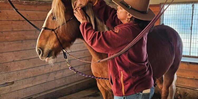 Black riders have always held the reins