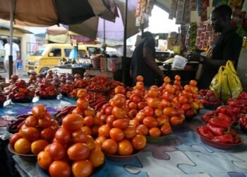 Burkina Faso bans tomato exports to protect local industry, with ripple effects across West Africa