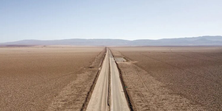 Chile Cools on Climate, Penguins in Risk to Green Credits