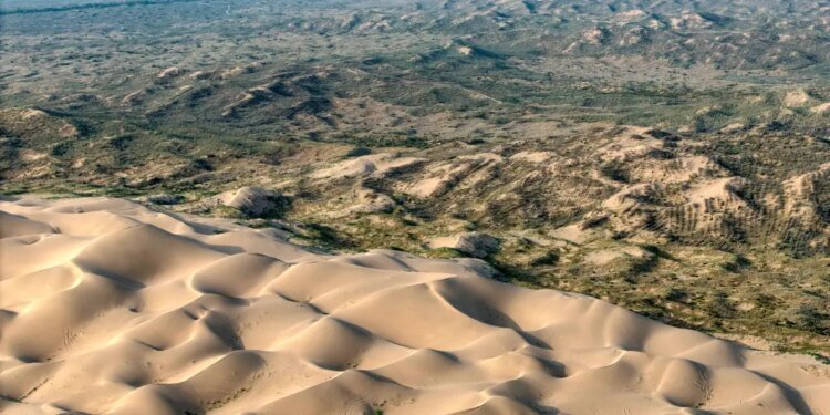 China’s New Law Signals Xi Won’t Curb Environmental Ambitions