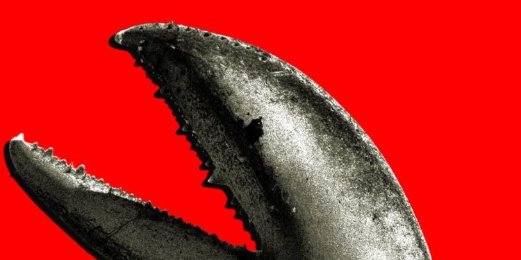 China’s OpenClaw Boom Is a Gold Rush for AI Companies