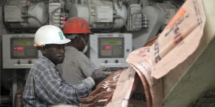 Dangote Cement takes a hit in Cameroon as sales plunge 14% year-on-year