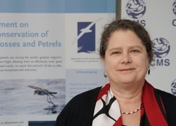 Decline of migratory species of animal population worsens from 44% to 49% in two years – Report – EnviroNews