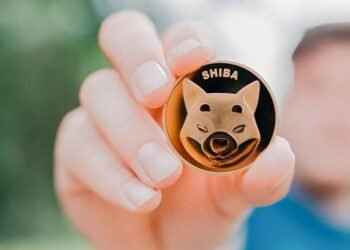 Dumping Shiba Inu Now Is Like Burning Your Own Money