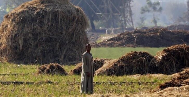 Egypt nears completion of $404mln MDF plant in Beheira