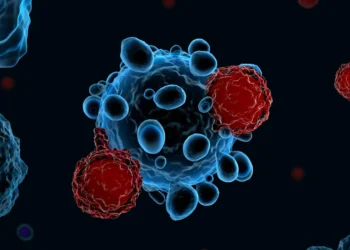 FDA issues speedy approval to J&J’s Tecvayli-Darzalex combo