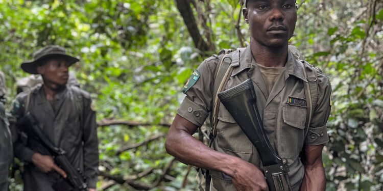 From Illegal Logger to Park Ranger