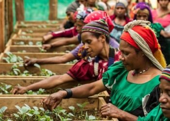 Gender equality: Why inclusion is a matter of survival in Southern Africa – EnviroNews