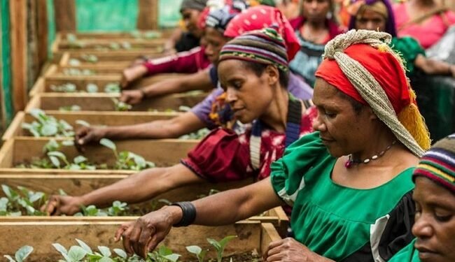 Gender equality: Why inclusion is a matter of survival in Southern Africa – EnviroNews