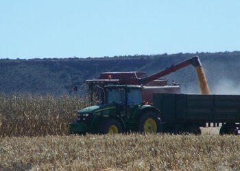 Global pressures spark diesel shortages and price concerns