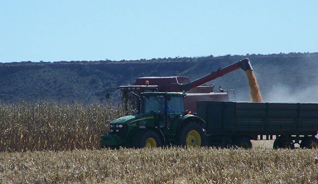 Global pressures spark diesel shortages and price concerns