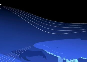Google’s Foundation Model Decodes Whale and Bird Calls