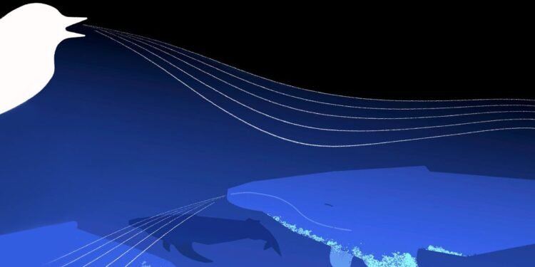 Google’s Foundation Model Decodes Whale and Bird Calls