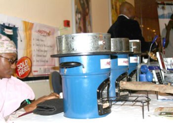 Group empowers Kaduna women with clean cookstoves, targets 50% less charcoal use – EnviroNews