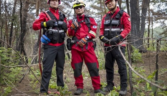 How South Korea is climate-proofing forests, communities against fire – EnviroNews