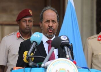 How a disputed Somali town became a hotspot for unregulated gold mining