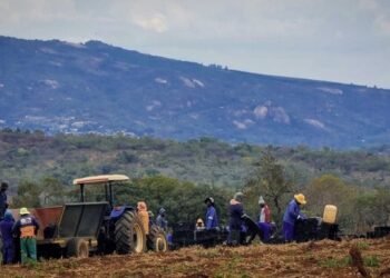 How corporate South Africa can transform land reform into economic opportunity