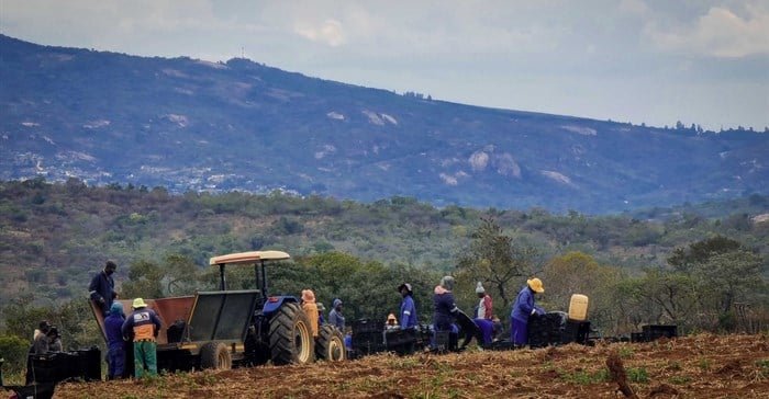 How corporate South Africa can transform land reform into economic opportunity