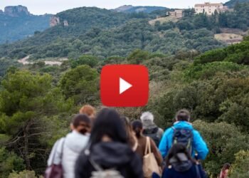 Huawei Highlights Digital Inclusion and Conservation Tech as AI Use Accelerates