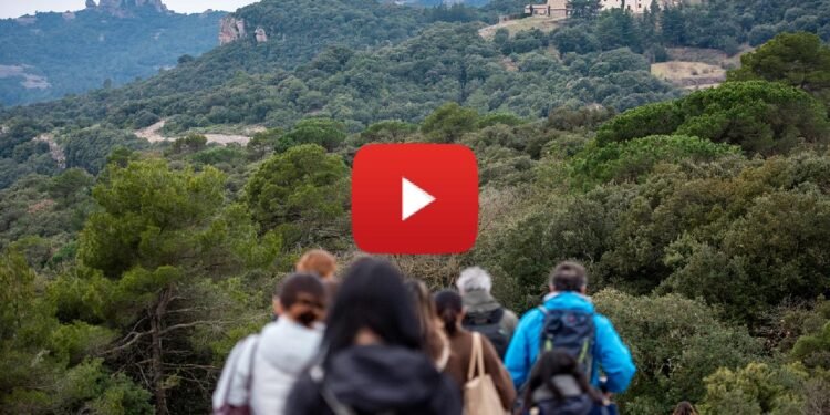 Huawei Highlights Digital Inclusion and Conservation Tech as AI Use Accelerates