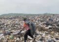 International Waste Pickers’ Day: Pickers seek recognition for sustainable development – EnviroNews
