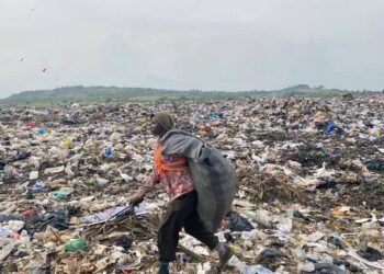 International Waste Pickers’ Day: Pickers seek recognition for sustainable development – EnviroNews