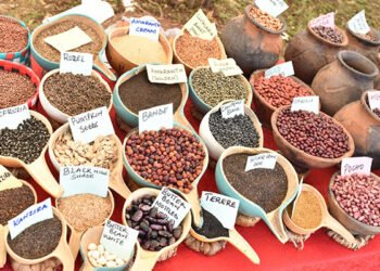 Kenyan farmers granted reprieve in seed-saving dispute