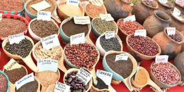 Kenyan farmers granted reprieve in seed-saving dispute