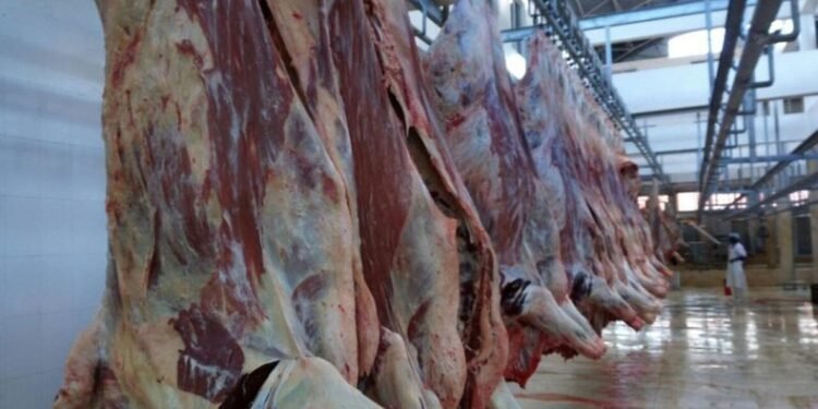 Kenya’s $2.3 million weekly meat trade crashes amid conflict in the Middle East