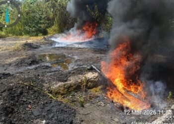 Navy destroys illegal crude oil storage site in Rivers – EnviroNews