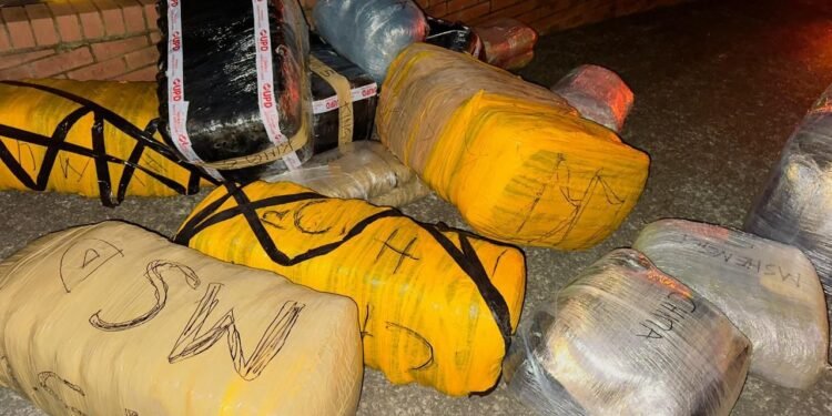 Oshoek intercept yields 670 kg plus of dagga