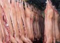 Pork sector sees progress in disease response despite FMD and ASF challenges