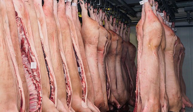 Pork sector sees progress in disease response despite FMD and ASF challenges