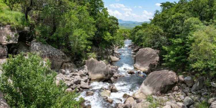 Protecting a Strategic Water Source During National Water Week and Beyond