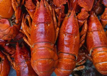 R2,8m boost for lobster co-ops in Port St Johns