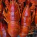 R2,8m boost for lobster co-ops in Port St Johns
