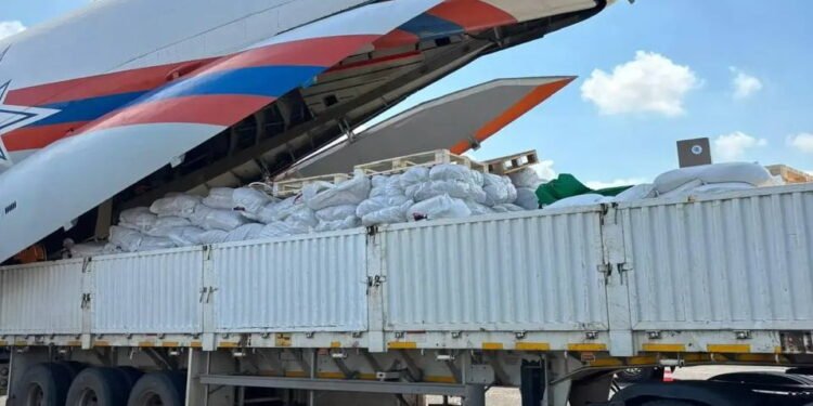 Russia delivers humanitarian aid to flood-ravaged Mozambique