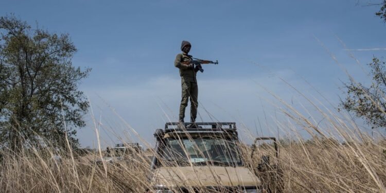 Sahel Terror Groups Use Forest Safe Havens to Launch Attacks