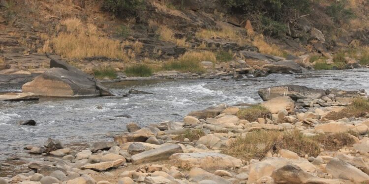 Sappi And WWF South Africa Champion Water Management As Key To Bio-economy Resilience