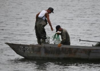 South Africa joins Japan in crackdown on illegal fishing by Chinese vessels