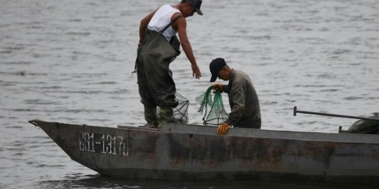 South Africa joins Japan in crackdown on illegal fishing by Chinese vessels