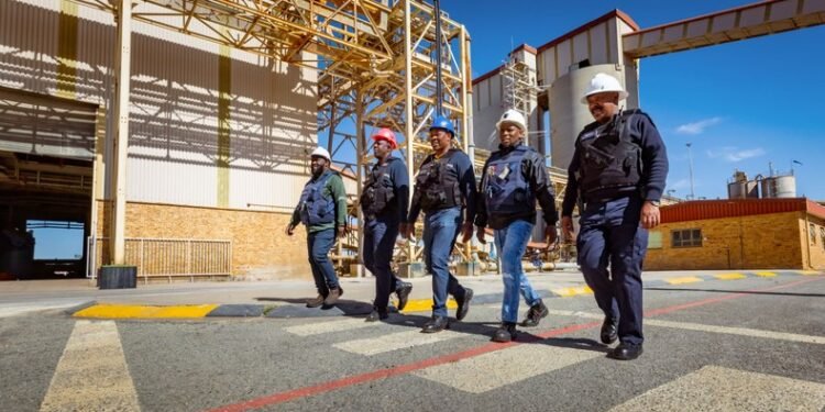 South Africa’s largest gold producer Harmony posts 13% profit jump, pays $208 million dividend to shareholders