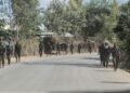 Tensions Bubble Along Eritrea-Ethiopia Border