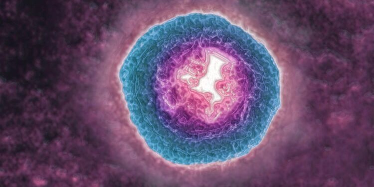 The Shingles Virus May Be Aging You More Quickly