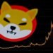 Top Reason Why Shiba Inu Investors Are Not Buying the Dip