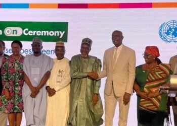 UN moves to ensure clean energy in Nigeria – EnviroNews