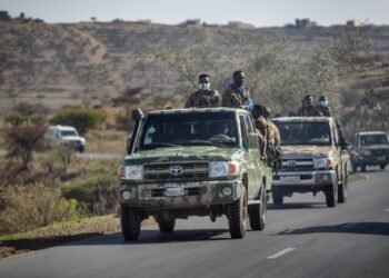 US deports Ethiopian man after his online posts caught the attention of investigators